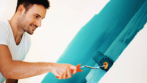 Best Mold Odor Removal Services  in USA